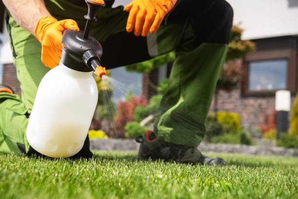 Professional Pest Control in Darnestown, MD