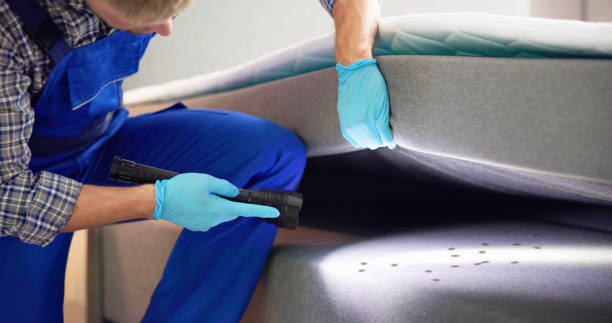  Darnestown, MD Pest Control Pros
