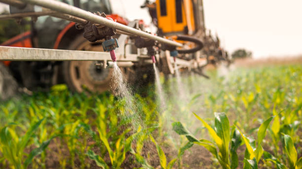 Best Pest Removal Services  in Darnestown, MD